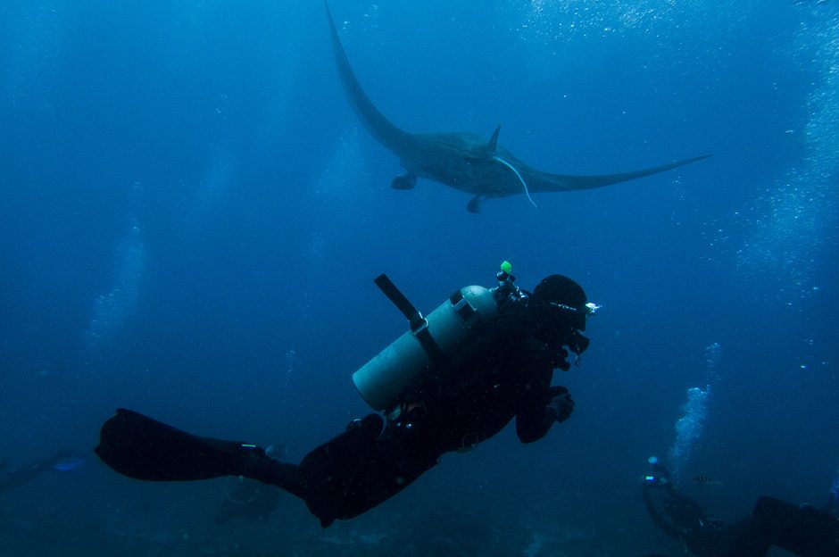 Deep dive into your inner karma